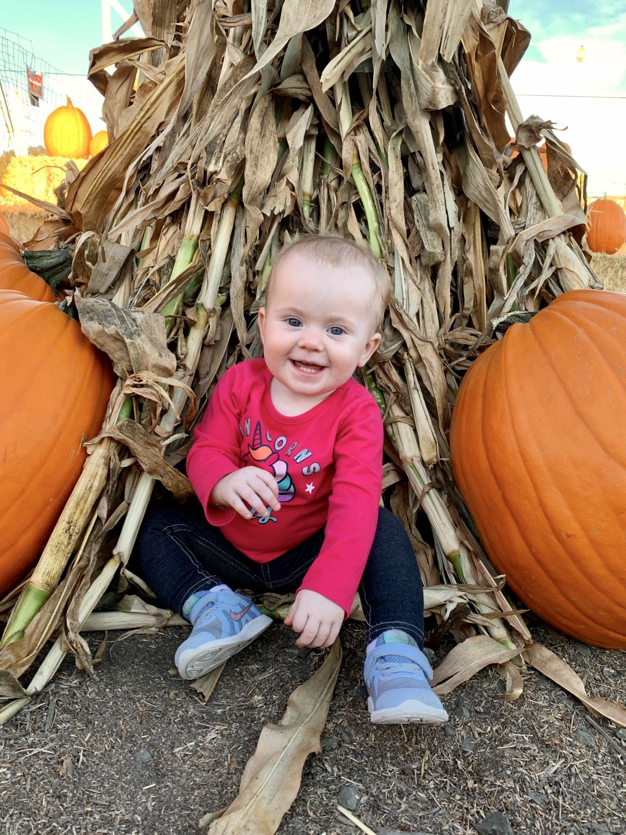 Faces and Places, October 25